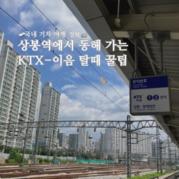 상봉역에서 정동진&동해 가는 KTX 이음 열차 탈 때 오션뷰 좌석 꿀팁