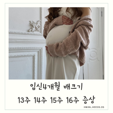 임신 4개월 배크기 13주 14주 15주 16주 증상 및 성별