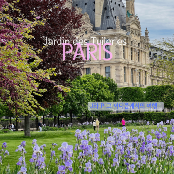 파리여행 튈르리정원에서 즐기는 파리의 풍경  | 5월 파리 뛸르히 가든 Jardin des Tuileries