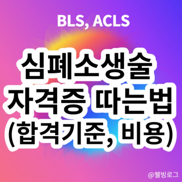 심폐소생술 자격증 따는법 비용 BLS acls