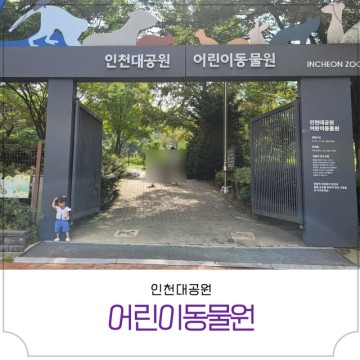 아이랑 갈만한 곳 인천대공원 어린이동물원 후기 주차장 정보