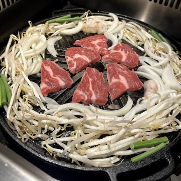 일본 삿포로 징기스칸 양고기 맛집 , 다루마 대신 후지야마 FUJIYAMA ジンギスカン