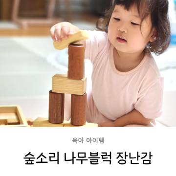 숲소리 장난감 22개월 아기 두돌 유아 원목 블럭 교구