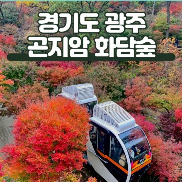 경기도 광주 곤지암 화담숲 모노레일 예약 아기와 가볼만한곳 가을 여행지 추천