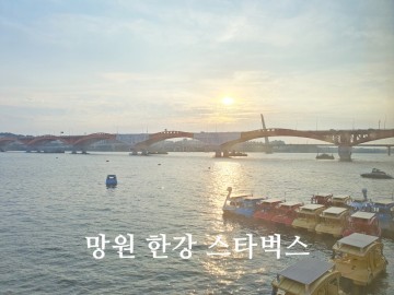 서울 데이트 코스 한강뷰 카페 망원지구 스타벅스 망원한강공원점