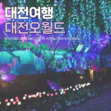 대전 오월드 놀이기구 야간개장 동물원 사파리 가격 입장권 할인 카드 유모차 아이랑 놀이공원