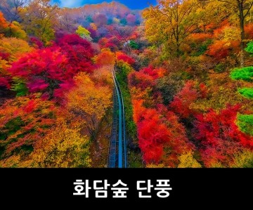 곤지암 화담숲 예약 경기도 단풍명소, 가을 명소 경기도 여행지 추천