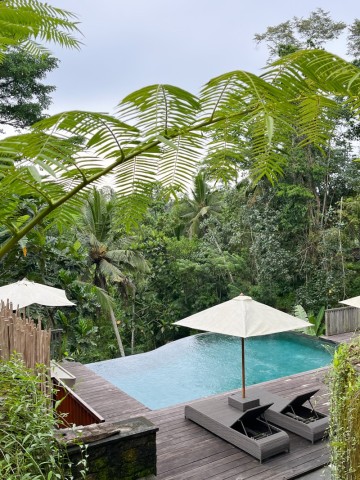 발리 우붓 여행 : 정글 뷰의 인피니티 풀이 있는 훌륭한 가성비 숙소 추천, 앙소카 방갈로 호텔 Angsoka Bungalow