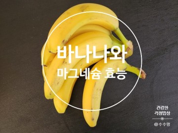 마그네슘이 풍부한 음식 추천  바나나 효능에 대하여!