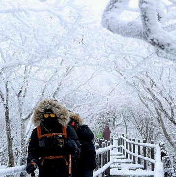 소한] 무주 겨울에 가볼 만한 곳 등산 코스 곤도라 타고 설천봉 향적봉 겨울 산행