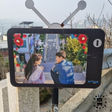 포항 가볼만한곳 구룡포 일본인 가옥 거리,동백꽃 필 무렵 촬영지