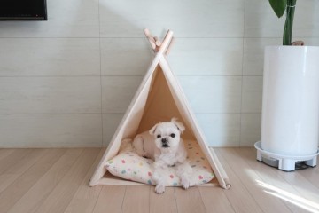 강아지 집, 캠핑느낌이 나는 감성적인 하우스 린백 텐트