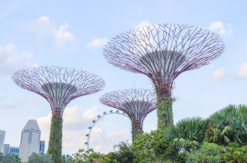 싱가포르 가든스바이더베이 입장권, 싱가폴여행 명소