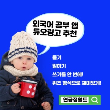 외국어 공부 앱 추천 - 듀오링고(feat. 퀴즈 푸는 재미에 빠져버림!)
