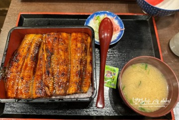 (오사카여행) 오사카 장어덮밥 맛집 '니혼바시 마루에이'