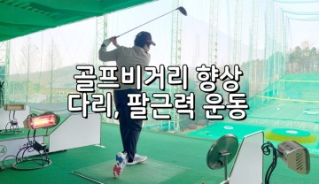 골프 클럽별비거리 늘리는 방법은? 다리근력운동, 팔근육운동이 필수!