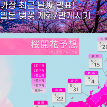 최신 2023 일본 벚꽃 개화시기 만개 도쿄 오사카 후쿠오카 벚꽃 명소