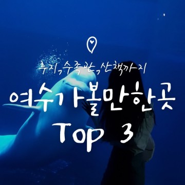 여수 가볼만한 곳 TOP 3 (유월드 루지 테마파크, 아쿠아 플라넷, 종포해양공원 하멜등대)