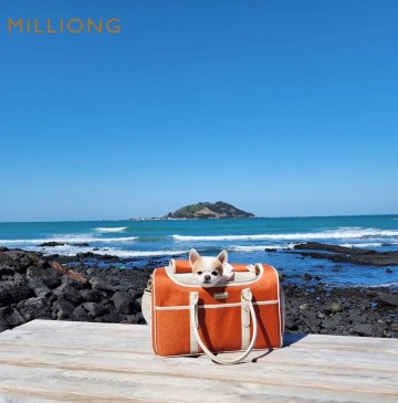 강아지 기내용 가방 밀리옹 겟어웨이 캐리어로 즐거운 여행