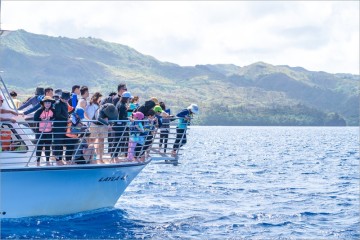 괌 돌핀크루즈 자유여행 필수 체험 괌스노쿨링