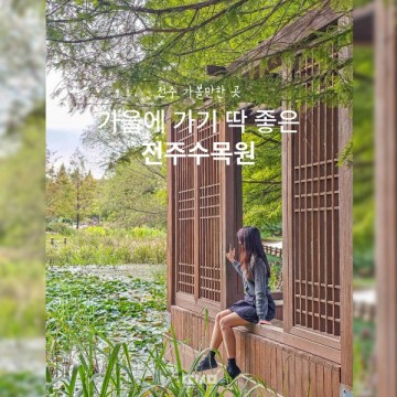 전주당일치기 여행 한국도로공사 전주수목원 포토존 위치 핑크뮬리 댑싸리 명소