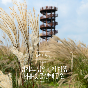 경기도 당일치기 여행 시흥갯골생태공원 꽃구경 나들이 입장료 텐트 주차 정보!