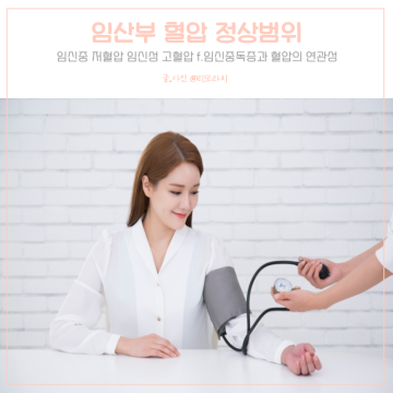 임산부 혈압 정상범위 저혈압&임신성고혈압 f.임신중독증
