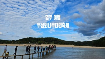 영주 무섬 외나무다리 축제 정보 및 현장 스케치 in 경북 축제