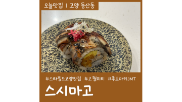 삼송스시 스시마고 스타필드고양점 고퀄리티 회전초밥집 둘이서 9만원 먹은 후기