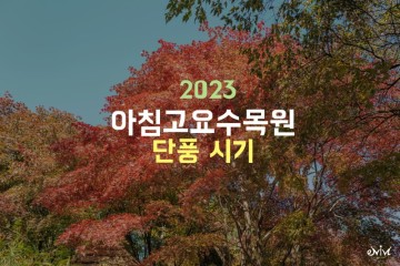 가평 아침고요수목원 단풍, 들국화전시회, 맛집까지! (서울근교 드라이브코스)