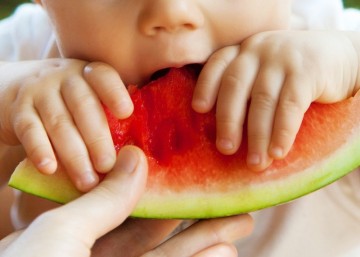 9개월 아기 모유수유 텀 이유식양 간식 과일 수박추천