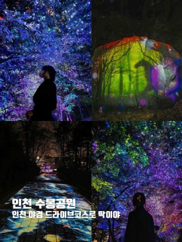 인천수봉공원 별빛축제, 인천야경 드라이브코스 총정리