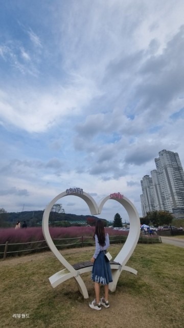 대전 핑크뮬리 신탄진 로하스공원, 해바라기