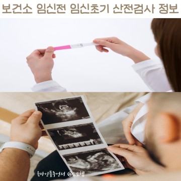 임신전 산전검사 보건소 임신초기검사 시기 항목 비용