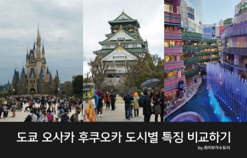첫 일본여행을 위한 도시별 정보비교 (도쿄 오사카 후쿠오카)