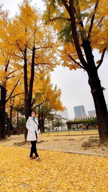 서울 가을 나들이 가볼만한곳 덕수궁 석조전 대한제국역사관 관람