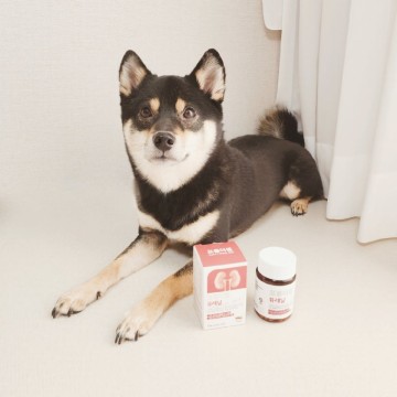 강아지 방광염 원인 요로결석 증상! 혈뇨 예방 위한 해결책은?