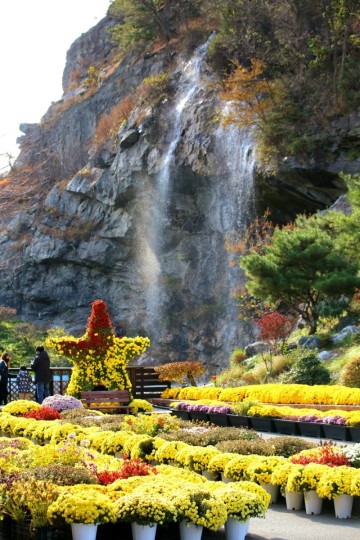 여행장소추천 - 사계절 아름다운 아산 피나클랜드의 가을 풍경  (2023.11.11)