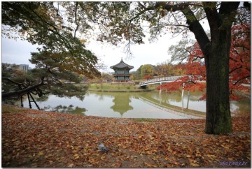 [서울을 걷다]가을 경복궁, 국립현대미술관 서울 산책