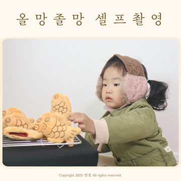 올망졸망 셀프촬영 아기 소품대여 붕어빵 컨셉 900일 기념사진