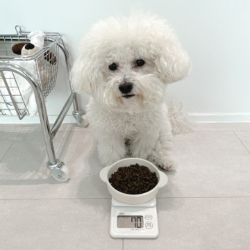강아지 사료 급여량, 2개월 3개월 사료양 & 다이어트 사료 추천