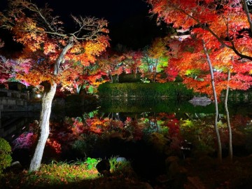 일본 가을여행지 교토 에이칸도 단풍 풍경 가는법 입장료