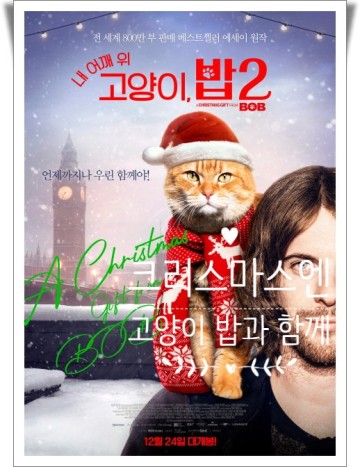 넷플릭스 영화 [내 어깨 위 고양이, 밥2] 어깨냥 밥과 함께 크리스마스에 돌아온 두 번째 이야기 노숙자에서 고양이를 키우는 어느 집사의 이야기.