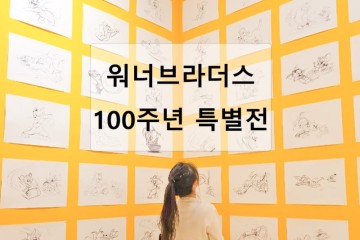서울 동대문 DDP 전시 워너브라더스 100주년 특별전 셀러브레이션 후기 할인정보