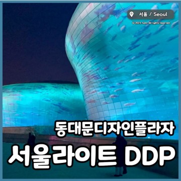 동대문디자인플라자 놀거리 : 서울라이트 DDP 2023 겨울 시간, 디지털 아틀란티스, 쿠키런