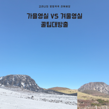한라산 초보 등산코스 가을영실 VS 겨울영실 주차, 꿀팁, 소요시간(윗세오름)
