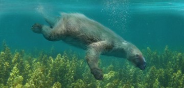 멸종 동물종류 고대 포유류종류 물속을 헤엄친 땅늘보 탈라소크누스
