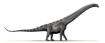 초식 공룡종류 용각류 지상에서 가장 큰 공룡 아르겐티노사우루스