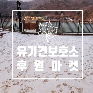 남양주 애견카페 오남개다방 유기견보호소 후원마켓