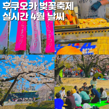 후쿠오카 4월 날씨 옷차림 후쿠오카 벚꽃 축제 실시간 만개 상황